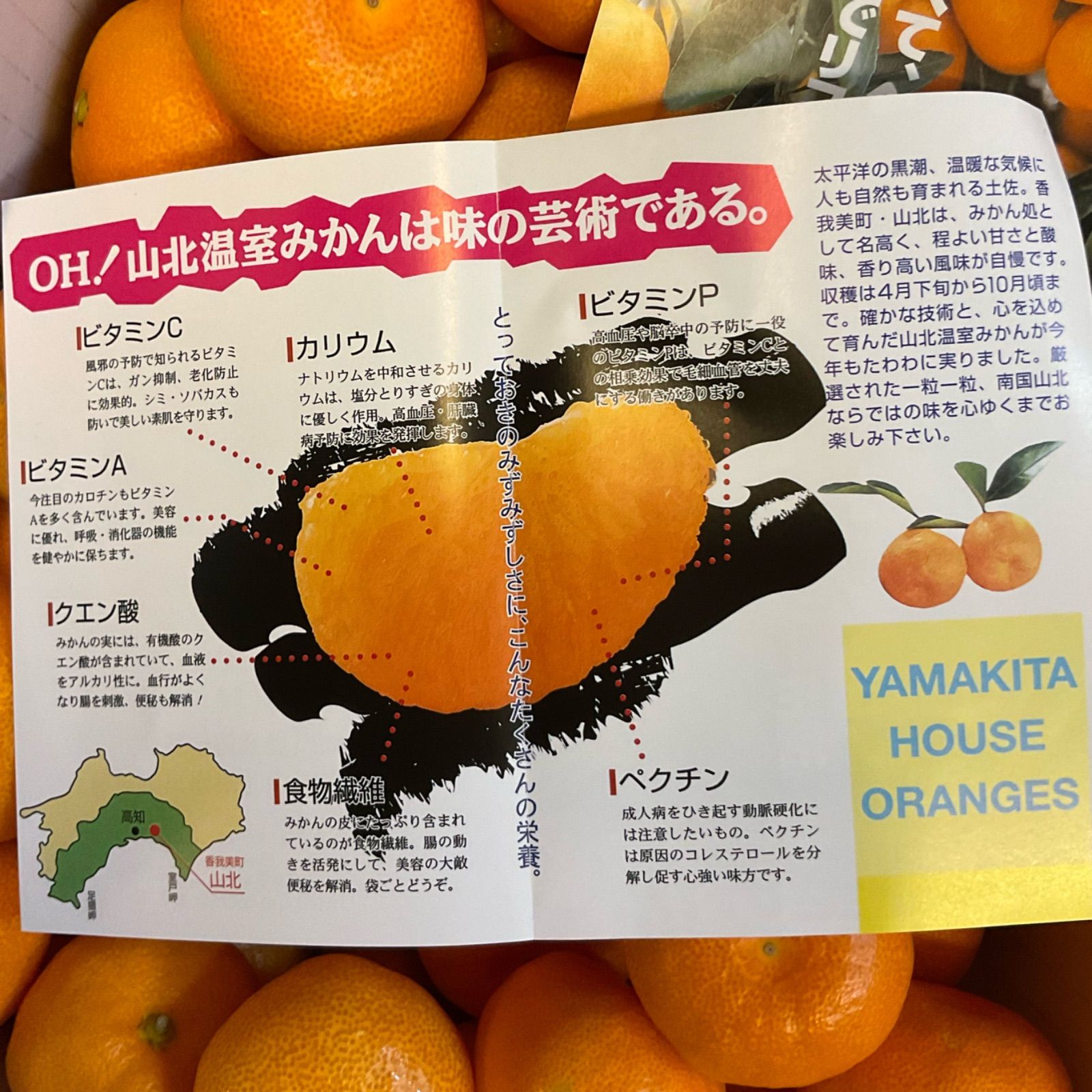 高知産 山北温室ハウスみかん 赤秀(贈答)1kg 光糖度センサー - 愛媛