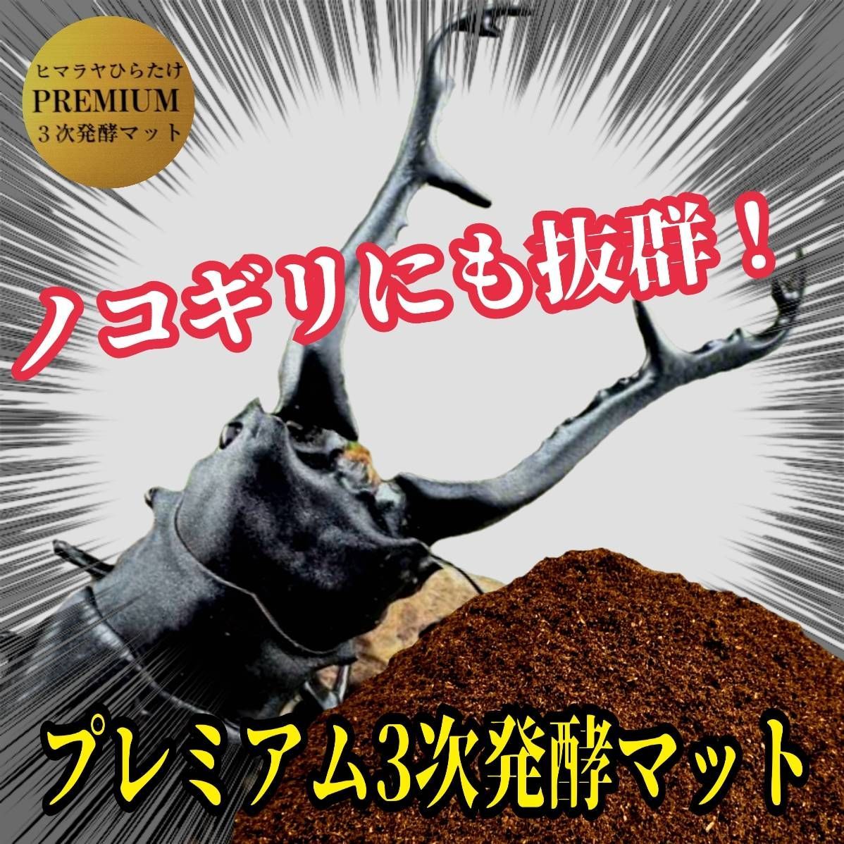 産卵にもお薦めです