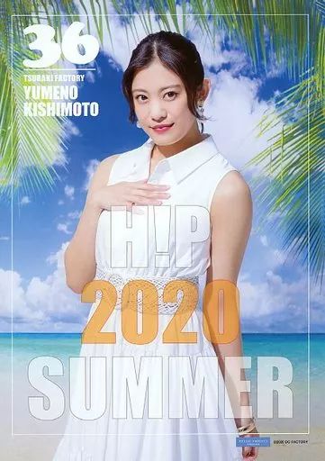 中古】ポスター コレクションピンナップポスターA No.36 岸本