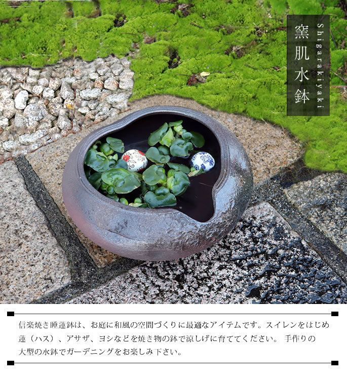 信楽焼 陶器 水鉢 メダカ鉢 金魚鉢 睡蓮鉢 窯肌水鉢 su-0274