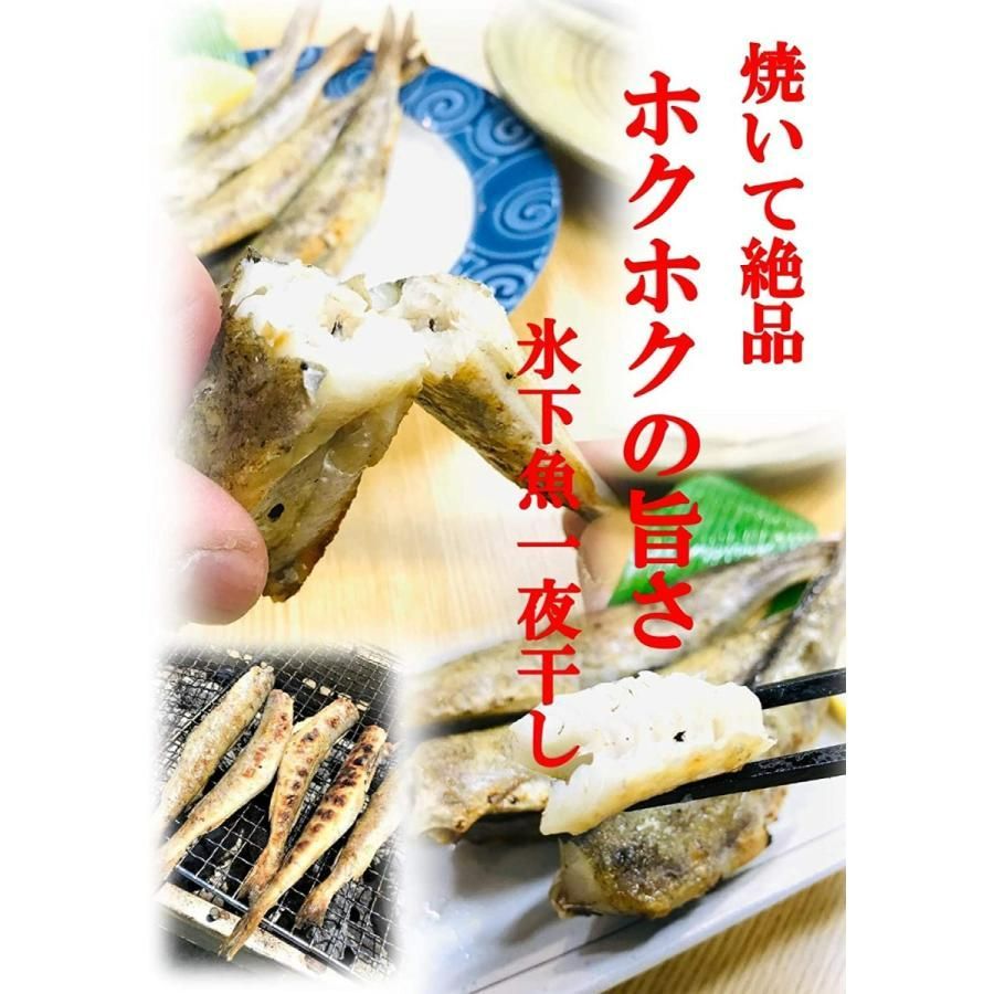 kakiya【北海道 根室産☆ コマイ 一夜干し 1kg】Ｍsサイズ  化粧箱入り 北の美味しさ！満天☆青空レストランでも紹介されました！ 氷下魚 こまい 干物