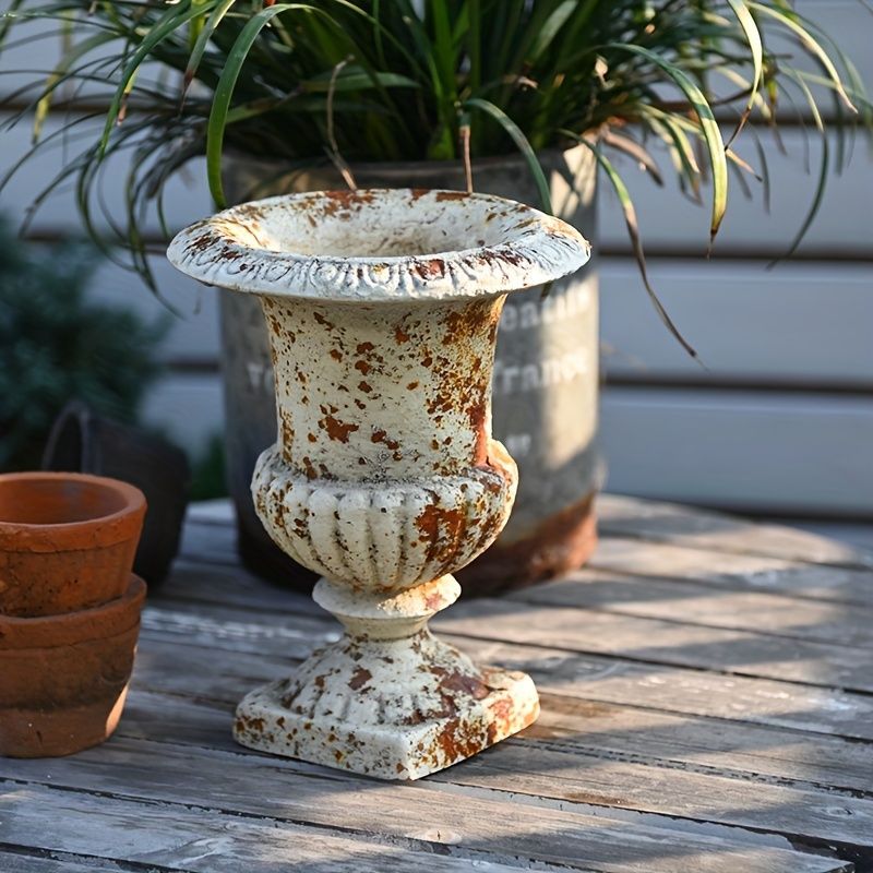 新宿で手渡し限定【観葉植物】 ミルクブッシュ大型株❤️ 全長約120cm 新宿で手渡し限定【観葉植物】 ミルクブッシュ大型株❤️ 全長約120cm