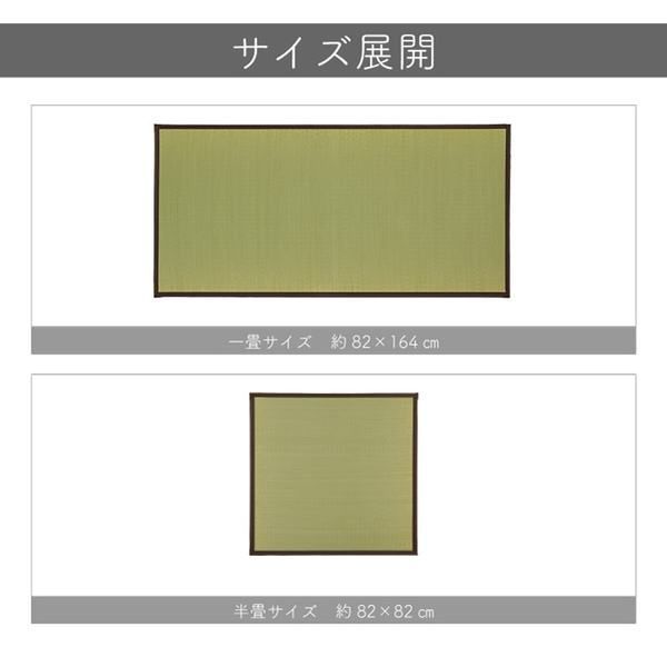 〔リビング〕 代引不可