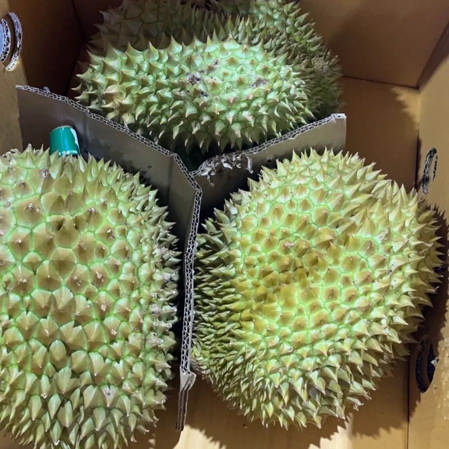 10kg タイ産新鮮ドリアン モントーン 金枕榴蓮 品質保証！ 10kg タイ産新鮮ドリアン モントーン 金枕榴蓮 品質保証！