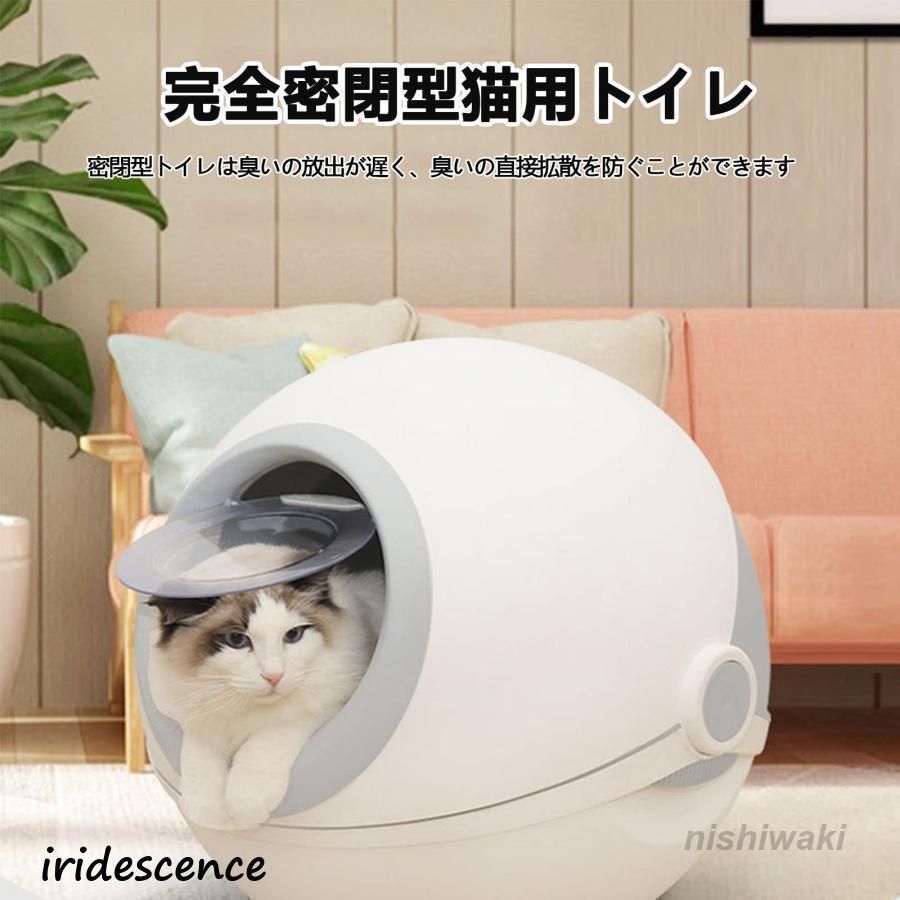 大型 ドーム