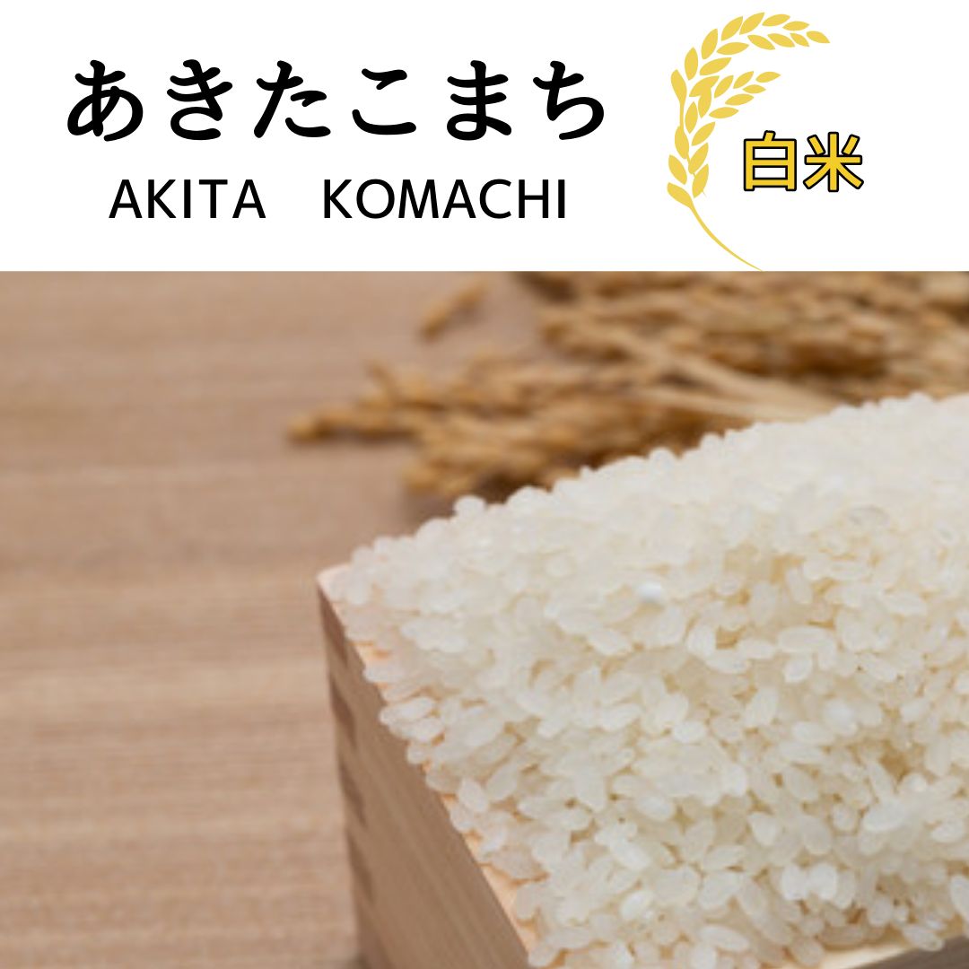 秋田県産あきたこまち白米 30kg R6年度産
