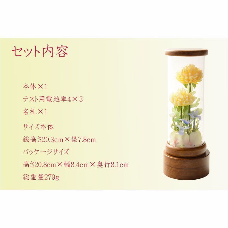 舞菊 まいぎく