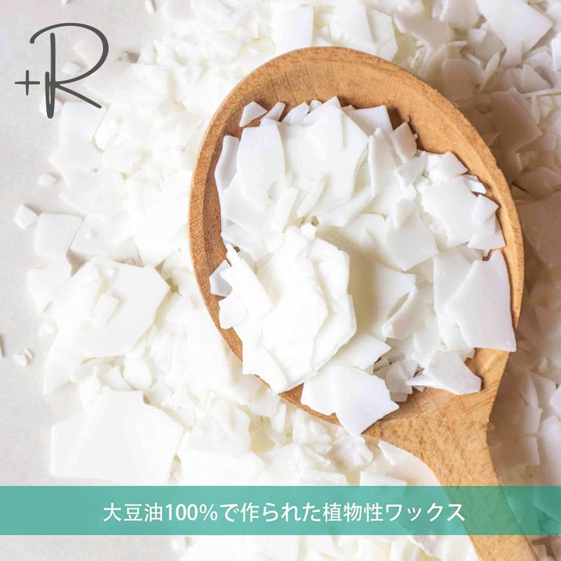 ソイワックス ナチュール 5kg エコソイワックス（大豆ワックス）・融点