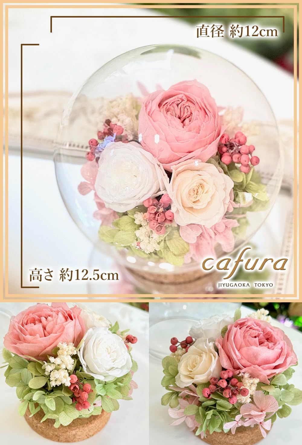 新品 cafura プリザーブドフラワー ガラスドーム(バニラピンク 新品 cafura プリザーブドフラワー ガラスドーム(バニラピンク