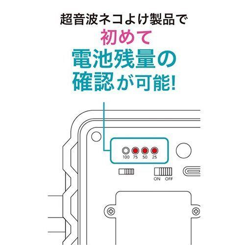 ねこ