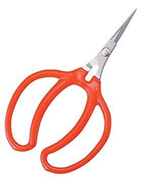 【】越路 ステンレス 芽摘・摘粒手曲鋏 S-13 wyw801m