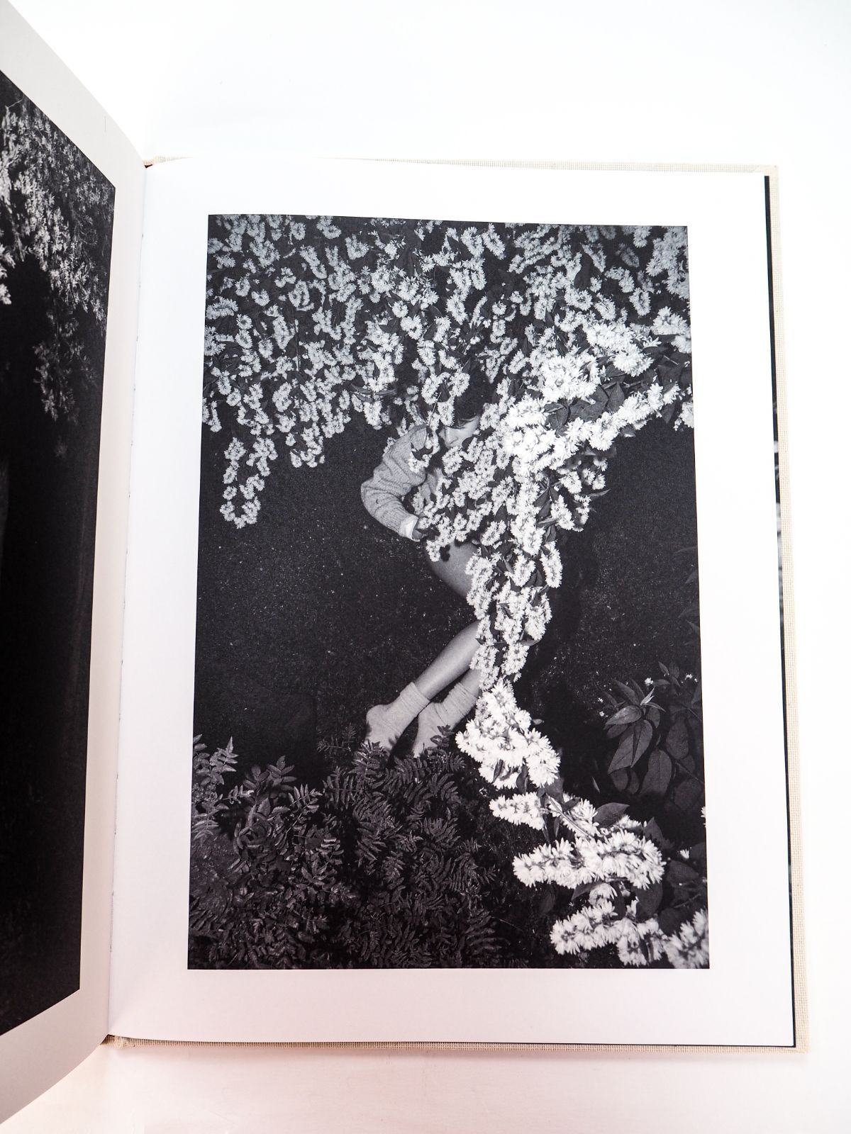 美品❗️Viviane Sassen SOL & LUNA 初版で貴重なサイン入り 再入荷】 『SOL & LUNA / Viviane Sassen ヴィヴィアン