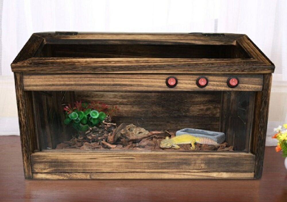 完成品！｜苔と緑の癒し／生体ケージ(隠れ家あり)、観賞用（グラス