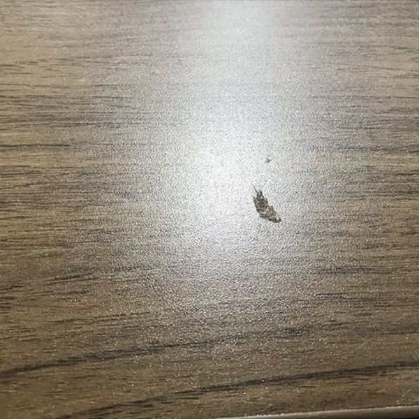 オカムラ ネオウッドダーク