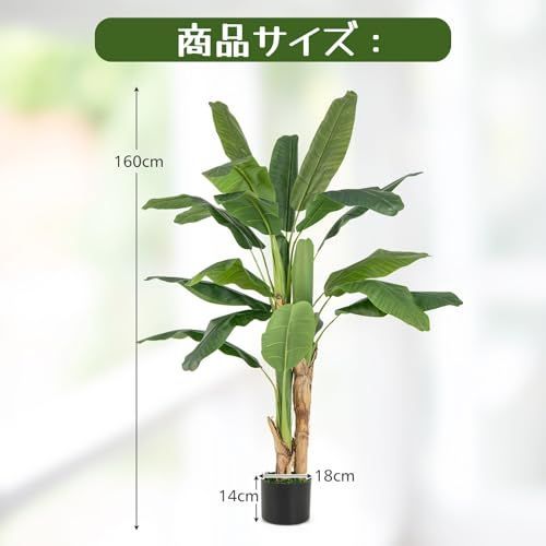 大型