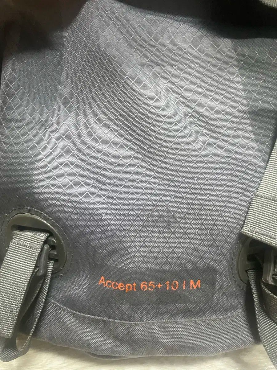 accpet 65