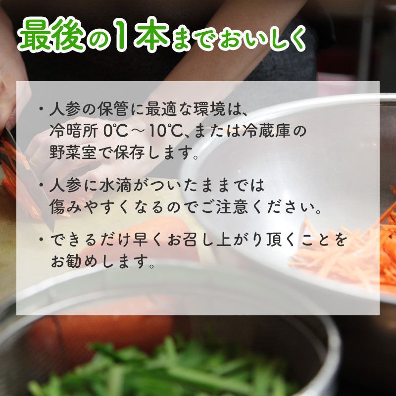 1月発送 原田さんの有機人参 MLサイズ 20kg 1本100～500g 宮崎県産 洗い 有機栽培 有機JAS認証 にんじん ニンジン 国産 産地直送 常温便