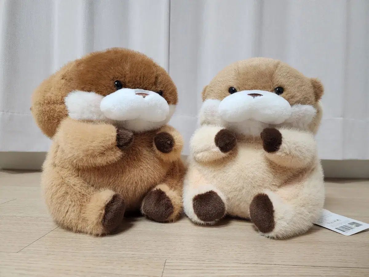 だまされたんだよ じうそちゃん 2 犬 セット
