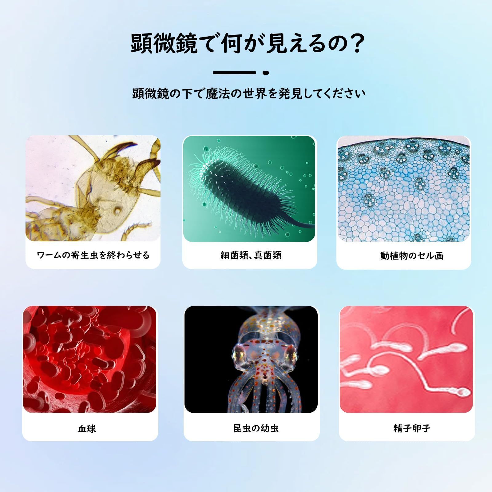 数量 Misoterm 複合型双眼顕微鏡 40X～2000倍 デュアルLED照明顕微鏡 XY軸ローディングステージ 移動式ノギス 学生 社会人向け実体顕微鏡 STEELWINDOWSANDDOORS_COM