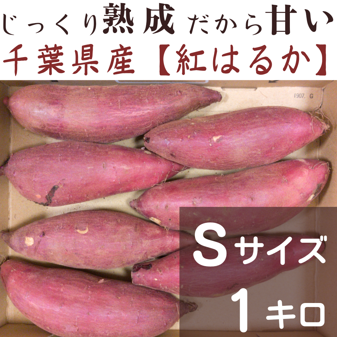 最初の  紅はるか M、Sサイズ 40kg さつまいも 千葉県産 野菜