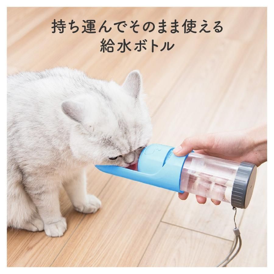 犬 猫