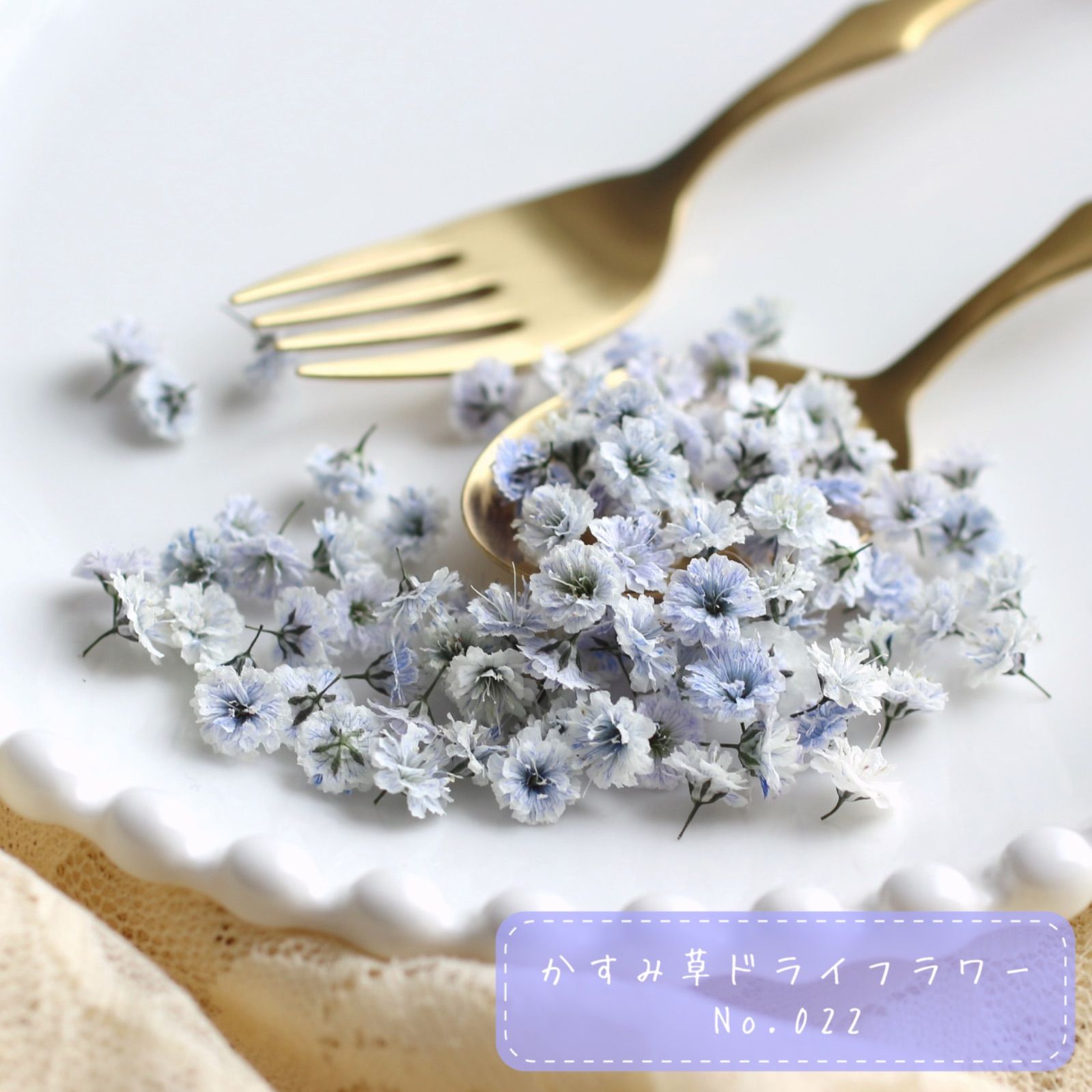 【♡マダミン♡様おまとめ】ドライフラワー ♡マダミン♡様おまとめ】ドライフラワー