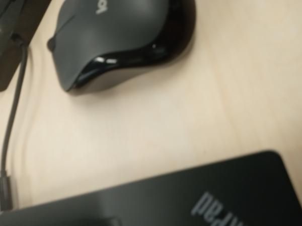 テスト　ラクーン5