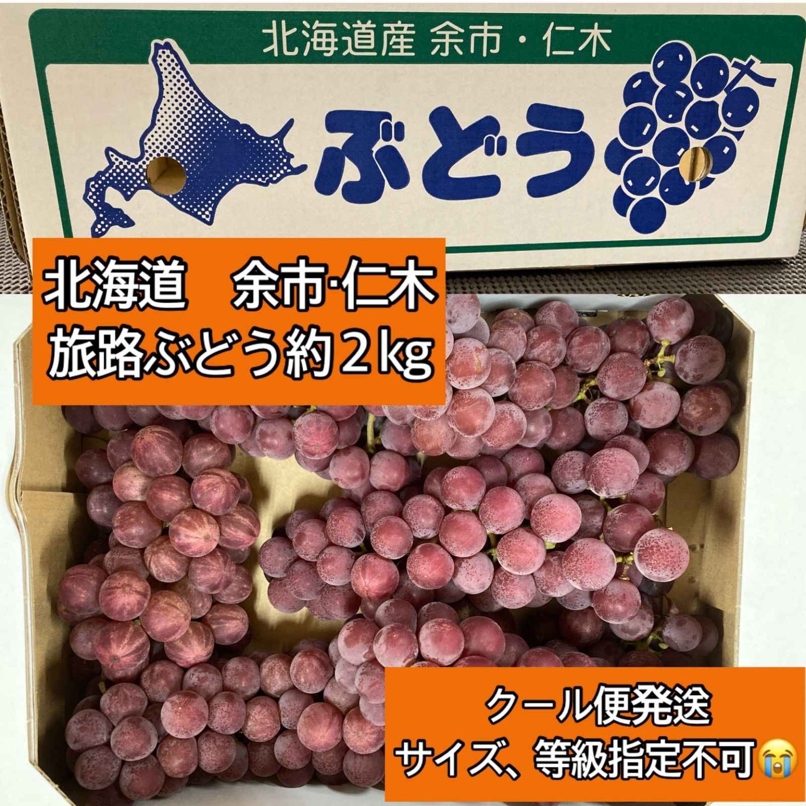 超お得品♪】本日ラスト！長崎産 温室メロン Ａ品 3L 合計6玉 約9キロ