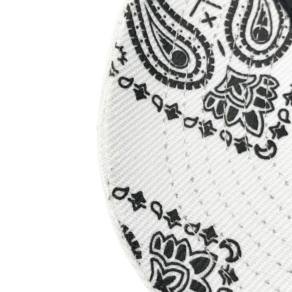 FR2 GOLF エフアールツーゴルフ メッシュキャップ ペイズリー柄