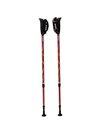 2営業日で発送 ハタチ DFPプログレッシブズームレッド-