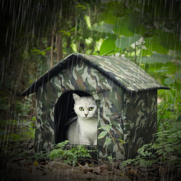 犬小屋 ドッグハウス 屋外 安全 ペット 防水 猫ベッド キャットハウス 折りたたみ式 猫小屋 猫ハウス 猫ハウス 防寒 暖かい 冬寒さ対策 保温防寒 防風 暖かい 子猫 厚め おしゃれ 屋外キャビン#lucky559669