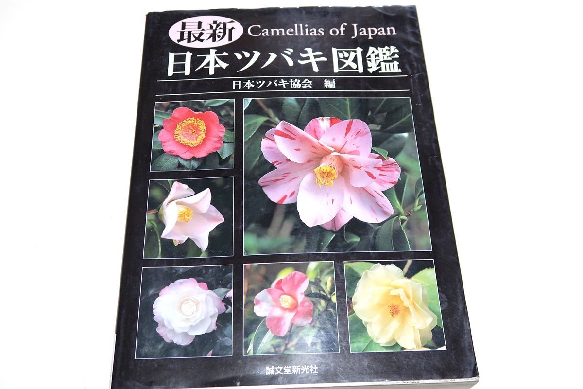 最新・日本ツバキ図鑑/わが国固有またはわが国で作出された品種6つの 