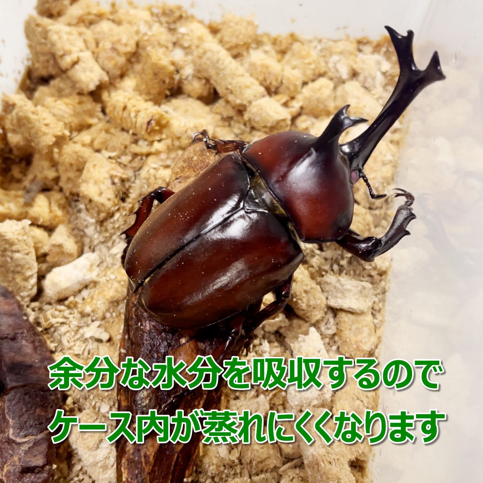 FAS 高圧縮・昆虫ペレット1L クワガタ・カブトムシ成虫管理用