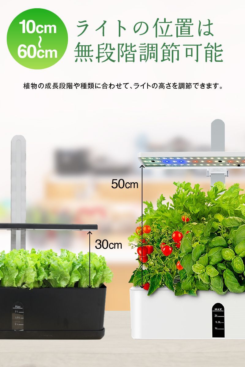 水耕栽培 キット