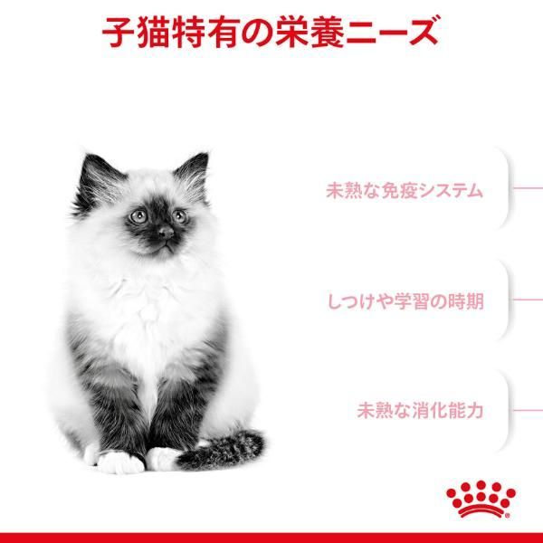 フィーライン