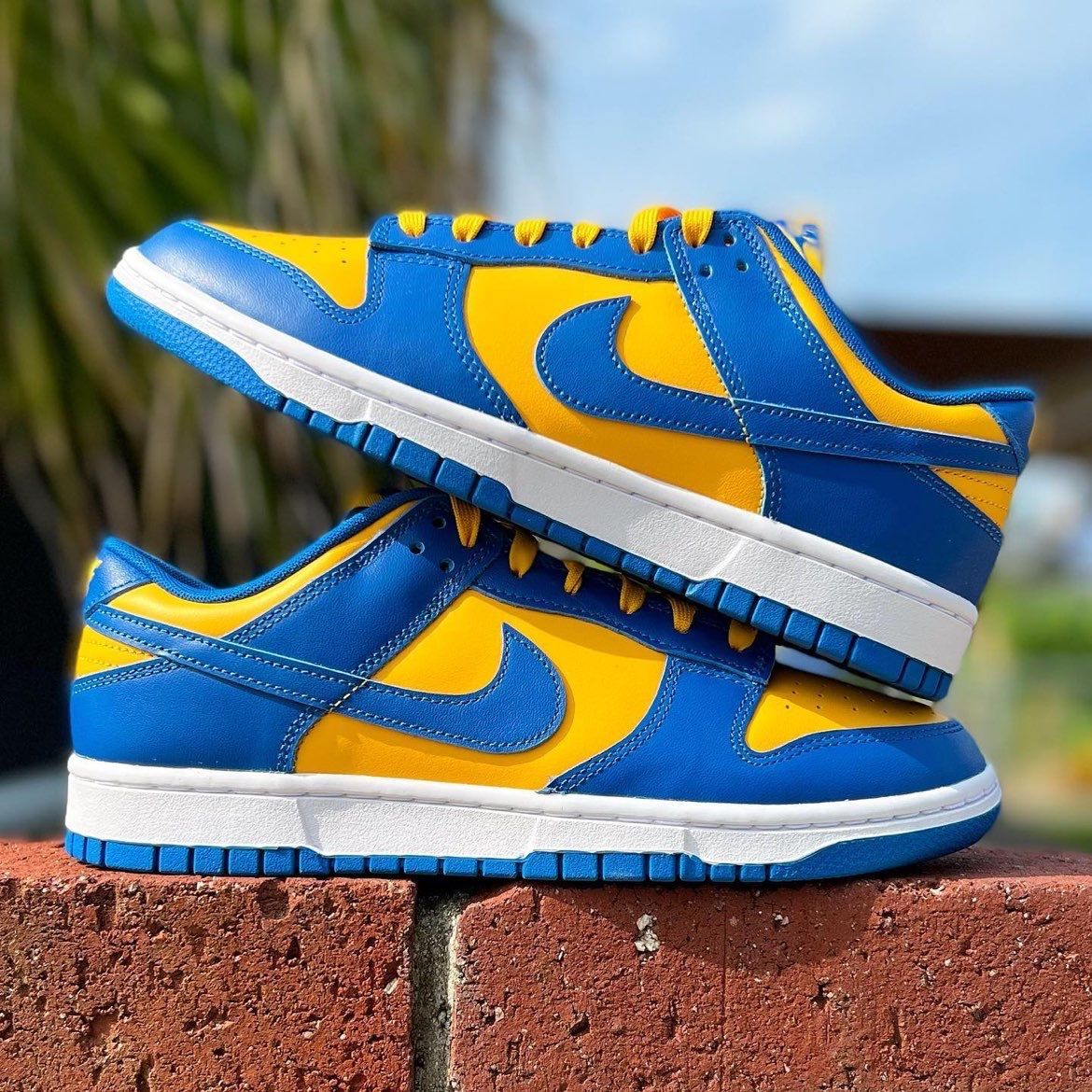 28センチ　ナイキ　ダンクロー　ブルージェイアンドユニバーシティゴールド ナイキ ダンク ロー 