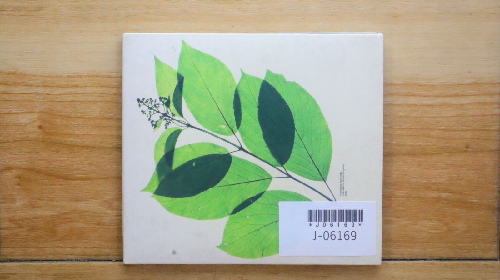 国内盤CD☆ゆず/Yuzu□ 歩行者優先/濃 【SNCC86904