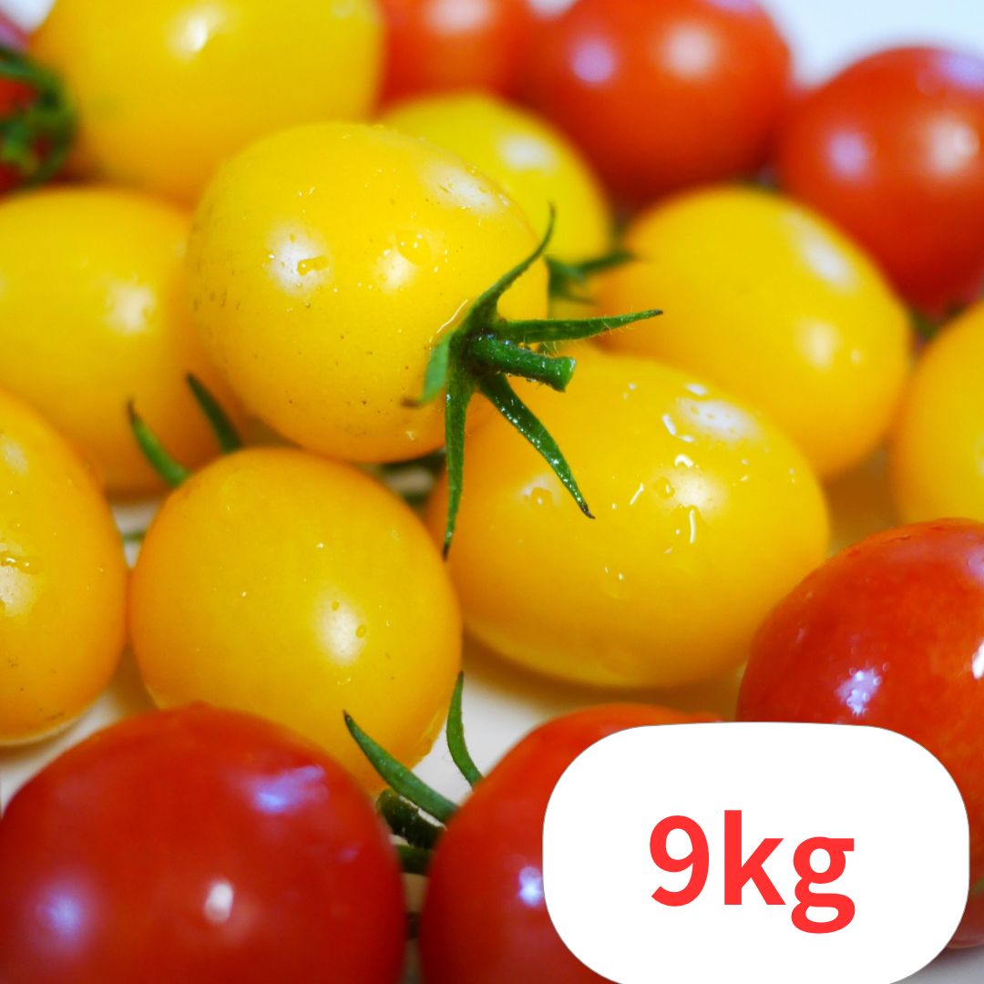 ミニトマト9kg食品/飲料/酒