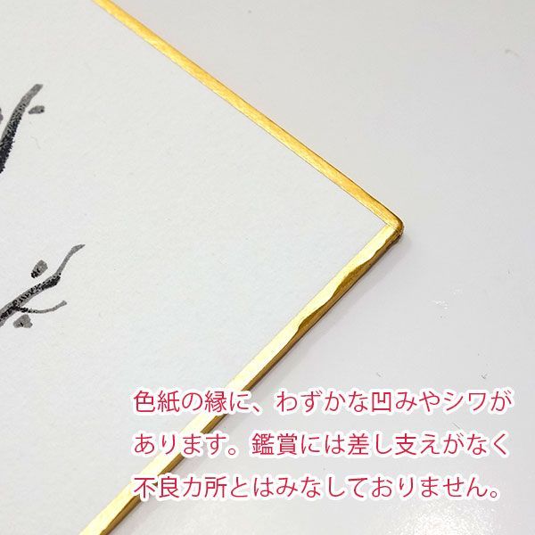 作者不明 河童 東京かっぱくらぶ 肉筆 直筆 サイン 色紙 河童