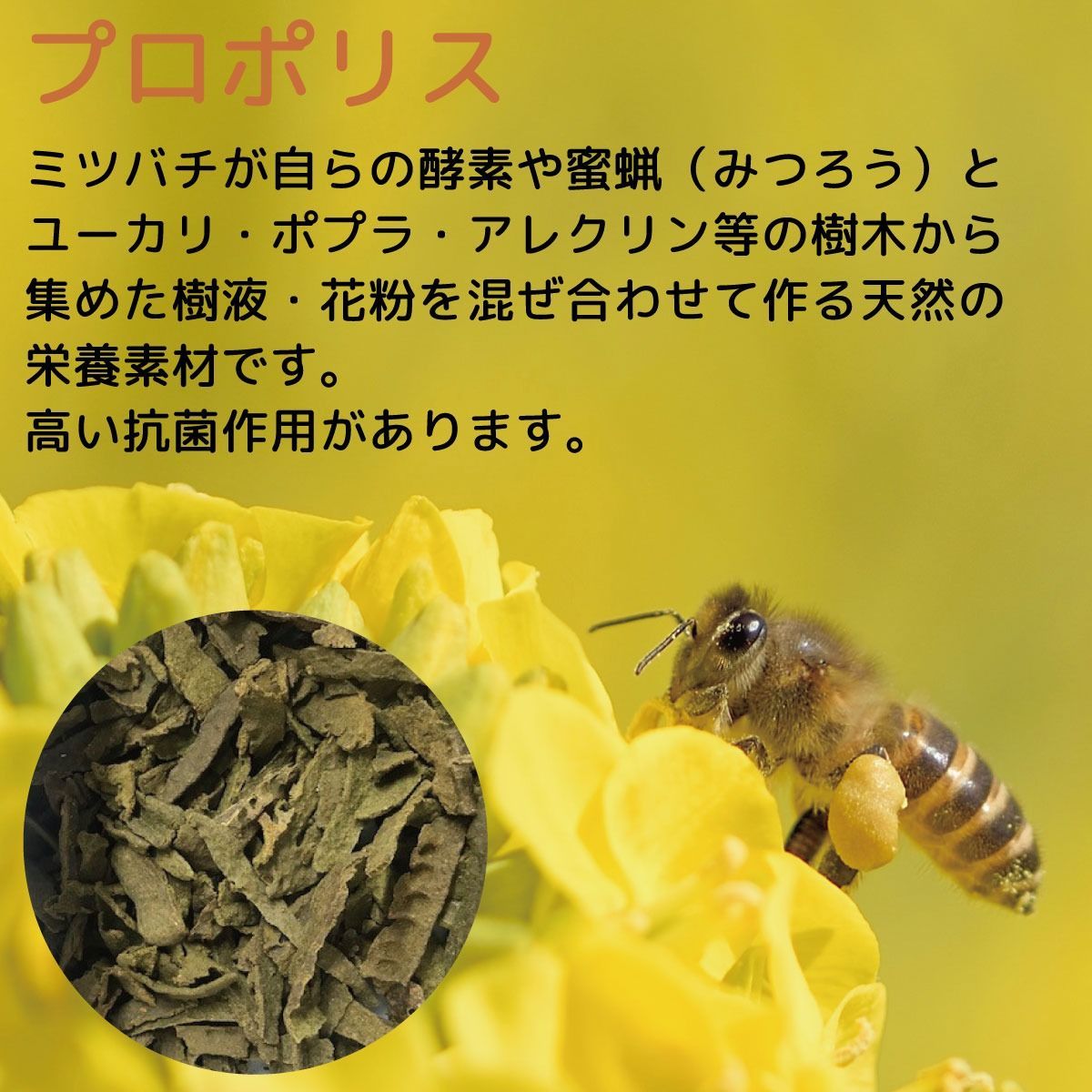のサムネイル