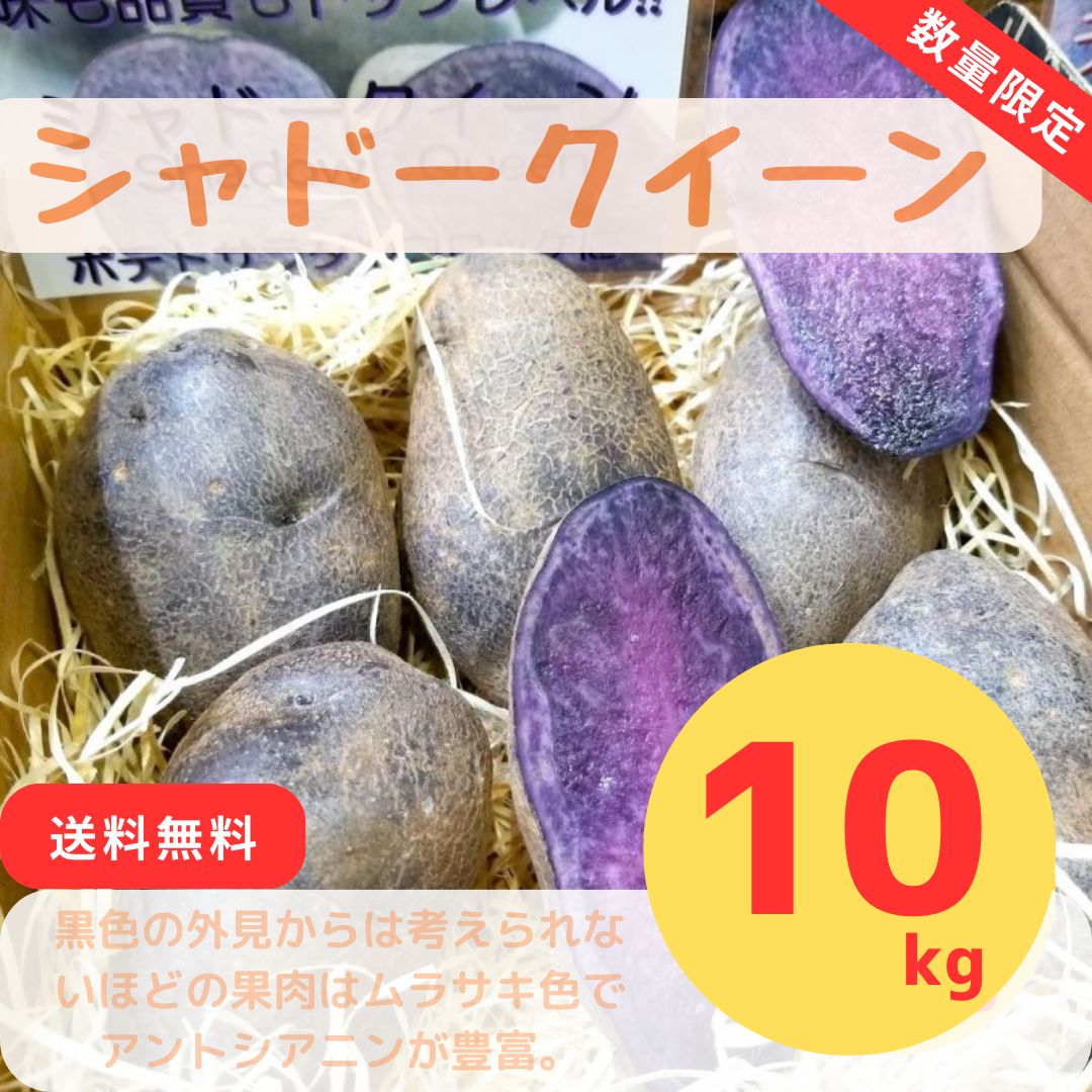 北海道産 じゃがいも シャドークイーン 10kg