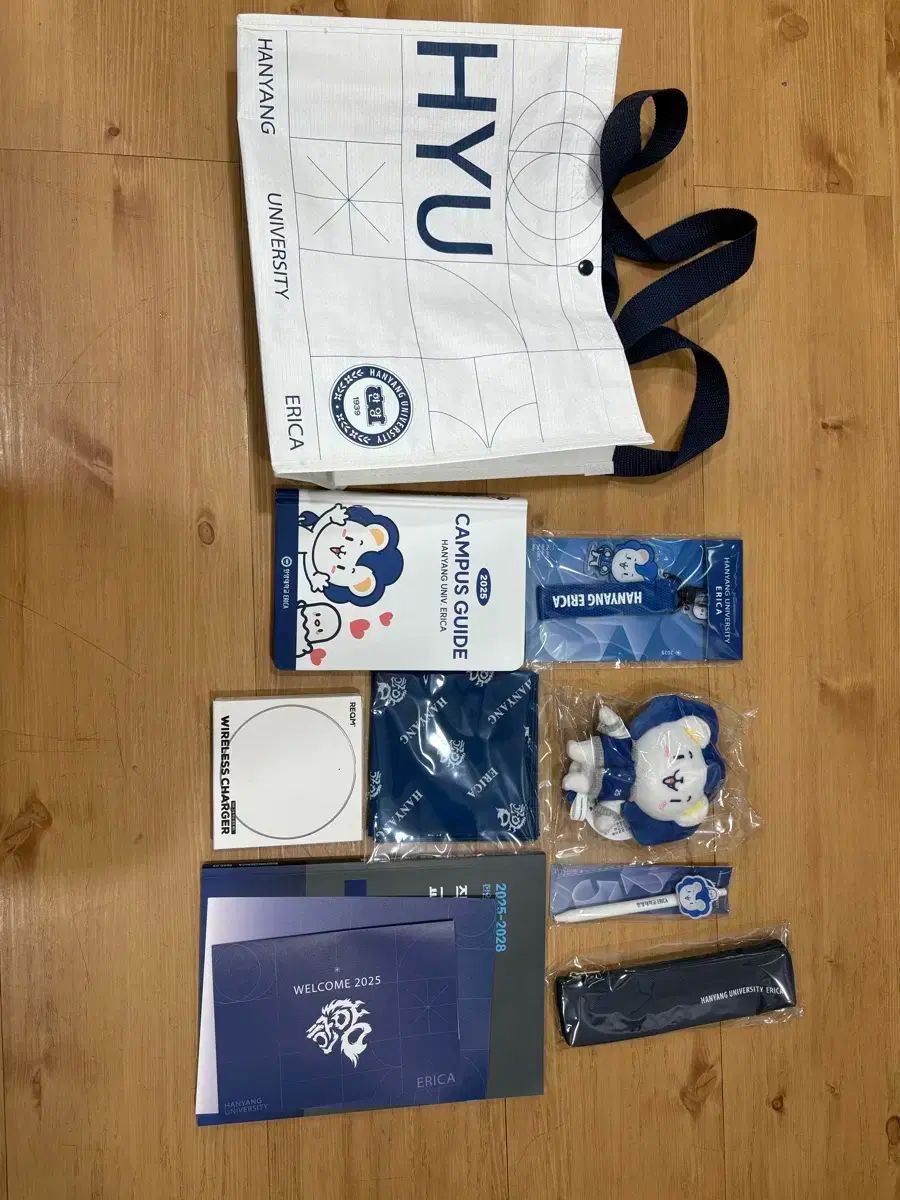 漢陽大学 エリカ 登録キット