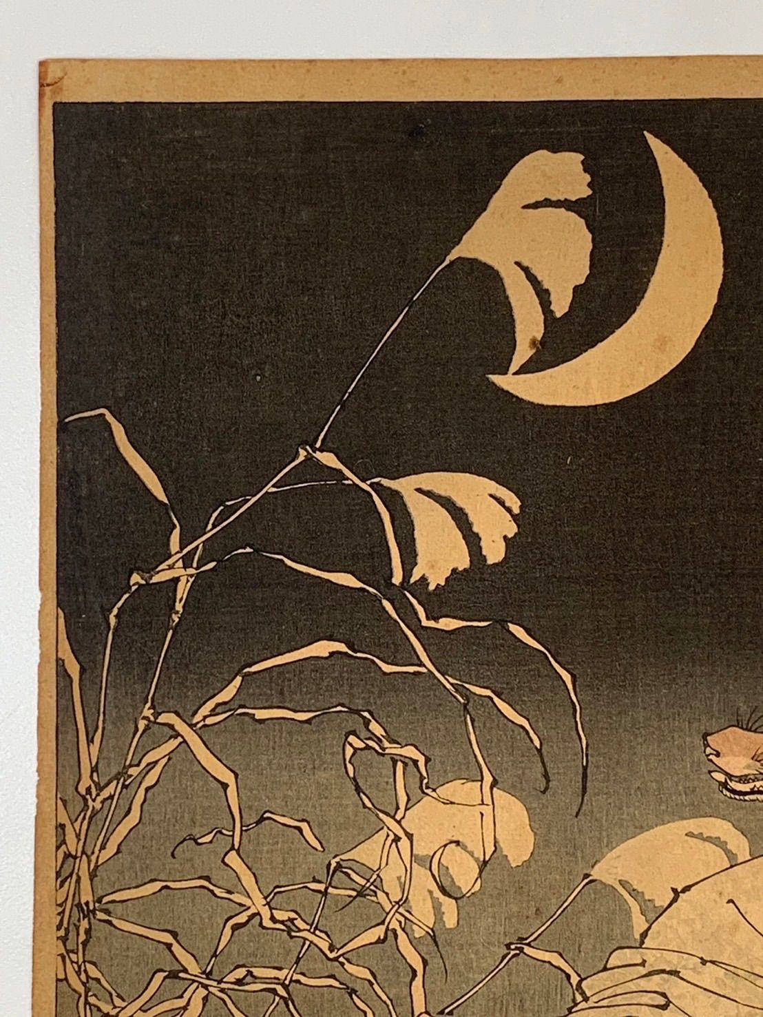 月百姿