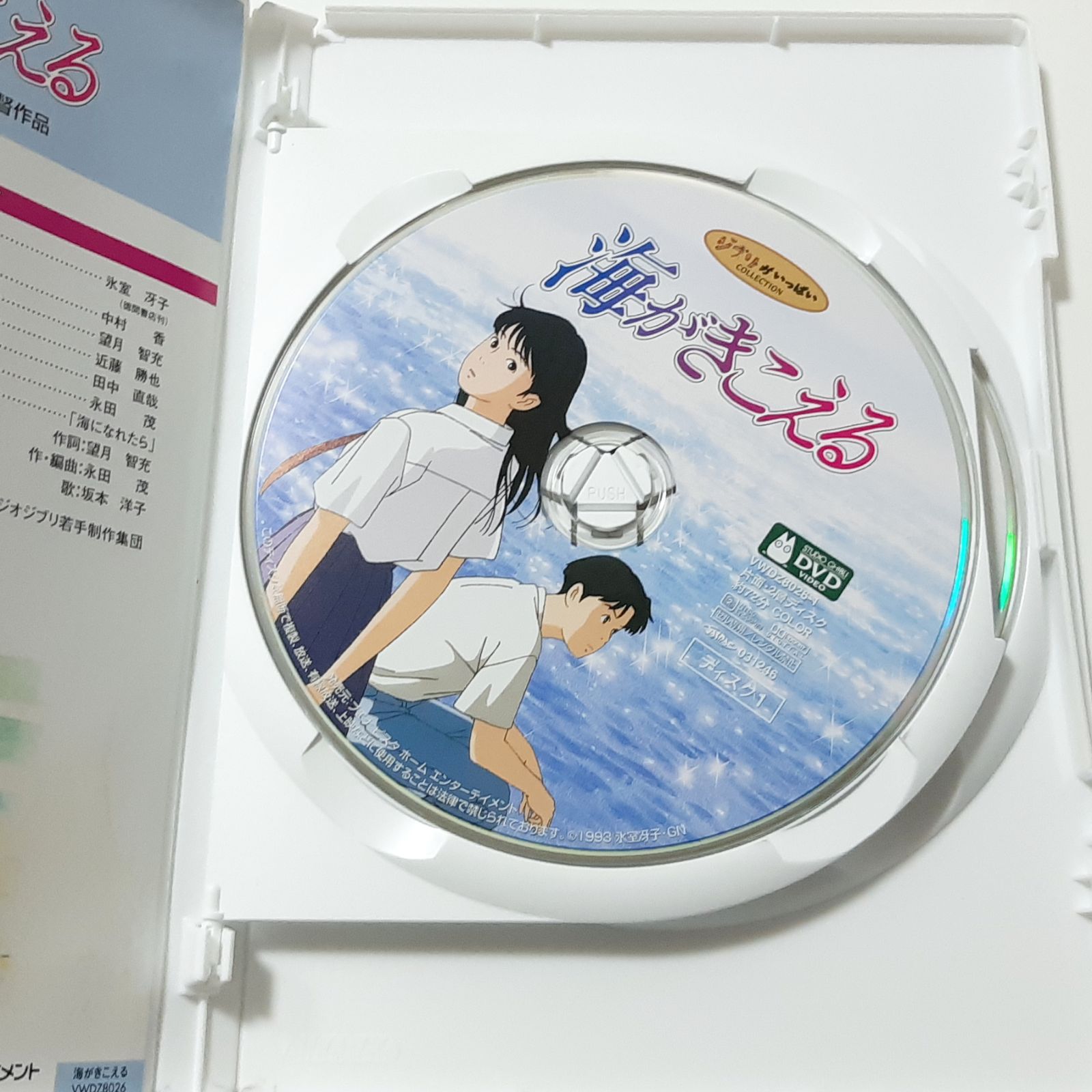 アニメDVD 海がきこえる スタジオジブリ ジブリがいっぱい