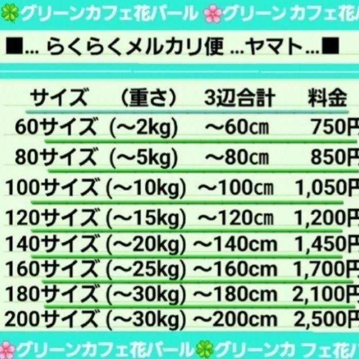 色 アイボリー木目