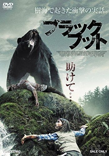 ブラックフット DVD