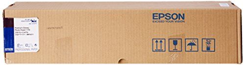 2営業日で発送 EPSON エプソン プロフェッショナルフォトペーパー 薄手光沢 PXMC24R12 PXMC24R12
