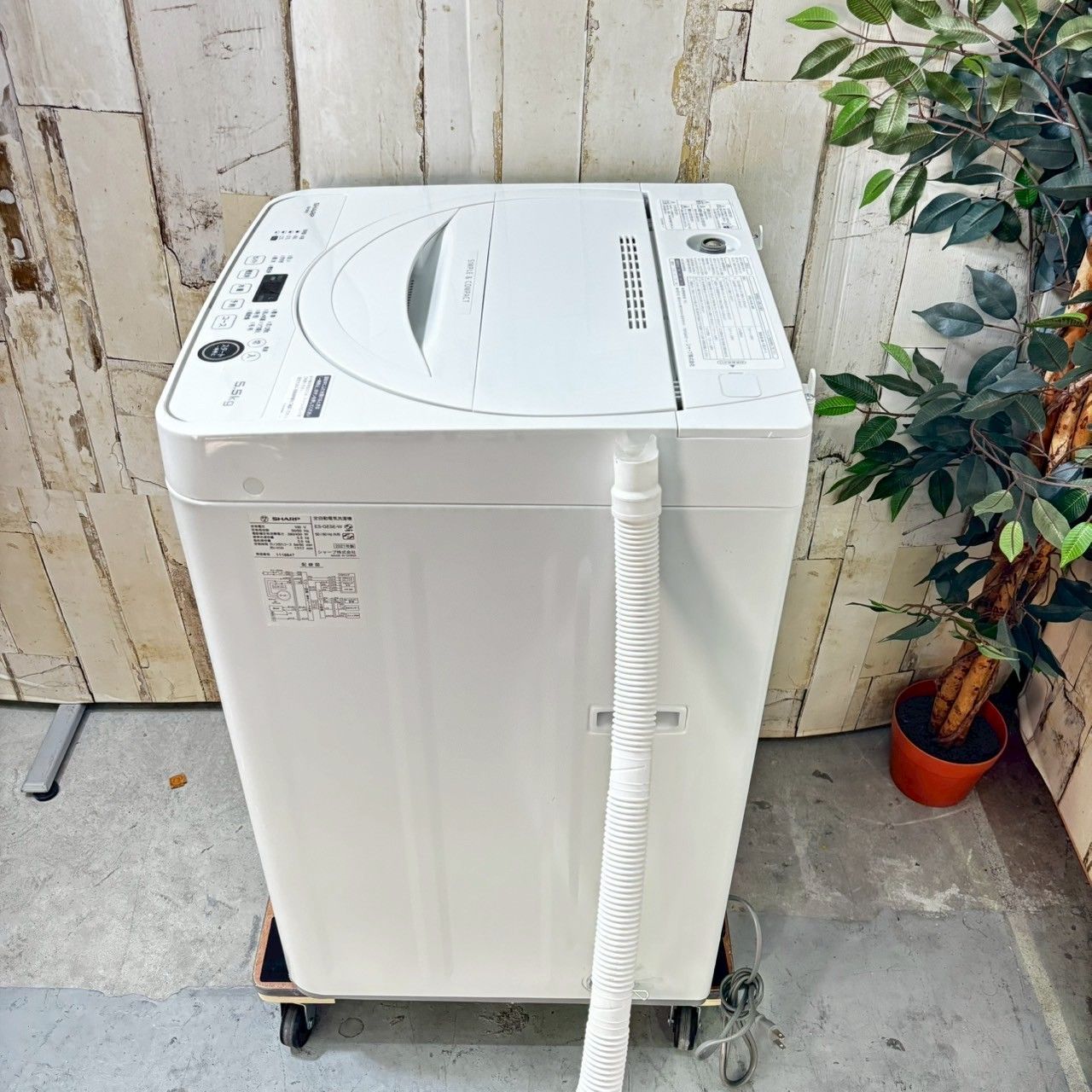 SHARP シャープ ES-GE5E-W 洗濯機 5.5kg
