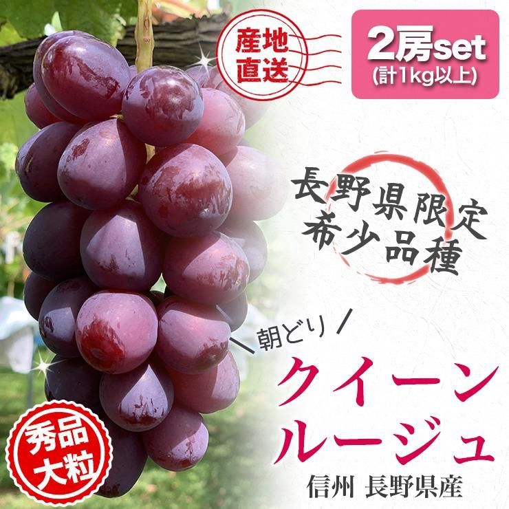 クイーンルージュ4キロ 長野県産 長野県産 クイーンルージュ 4房 2キロ