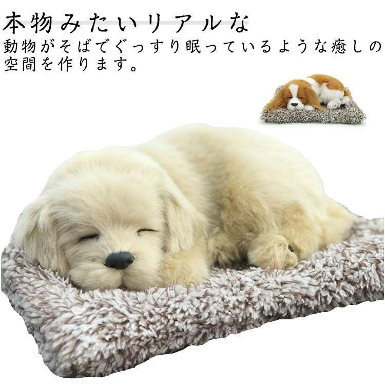 猫 脱臭剤 家用 犬 本物の動物みたい 置物 ナノ結晶質 車用 パンダ トイレ 車用消臭剤 消臭剤 ナノ結晶性 ナノサイズ結晶 ナノ微結晶消臭 車 無香性 空気清浄 フォルムアルデヒド除去 部屋 